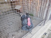 Výlet do Ekocentra MB - Spižírna